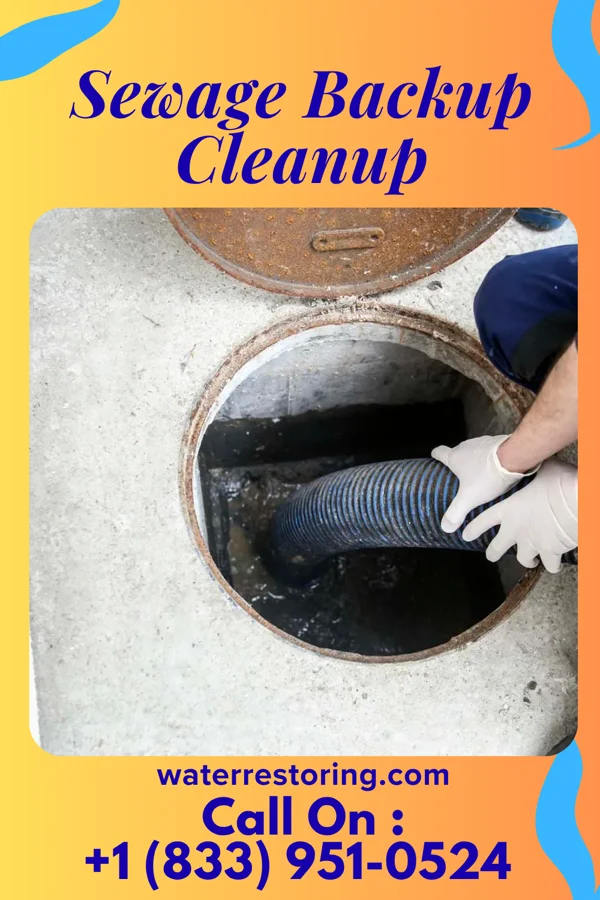 Sewage Backup Cleanup in Cornelius, OR